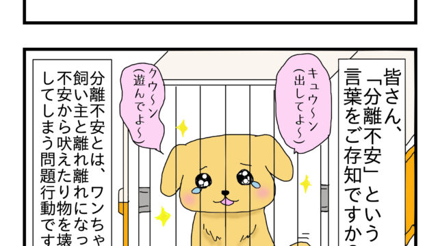 マンガ お散歩デビュー遼馬君 姫路 犬のしつけ方教室 ドックローバー