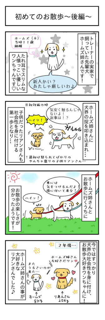 マンガ 初めてのお散歩 姫路 犬のしつけ方教室 ドックローバー