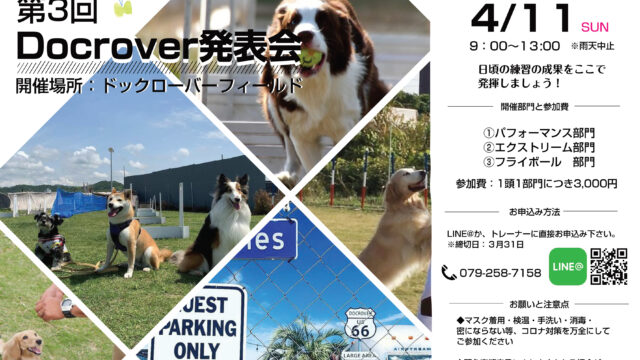 イベント 初めてのフライボール体験会開催のお知らせ 姫路 犬のしつけ方教室 ドックローバー