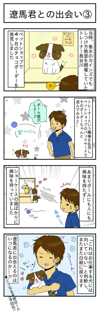 マンガ ペットショップのボーダーコリー 姫路 犬のしつけ方教室 ドックローバー