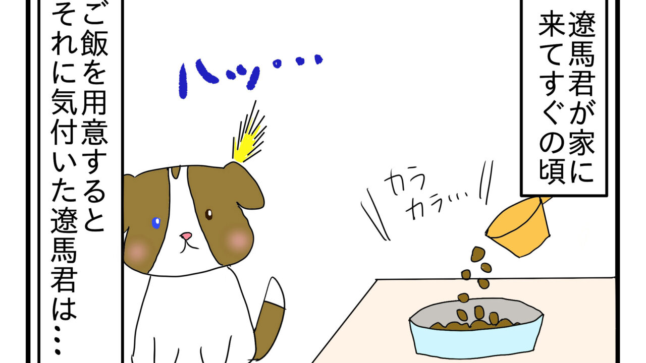 マンガ ご飯食べません問題 前編 姫路 犬のしつけ方教室 ドックローバー