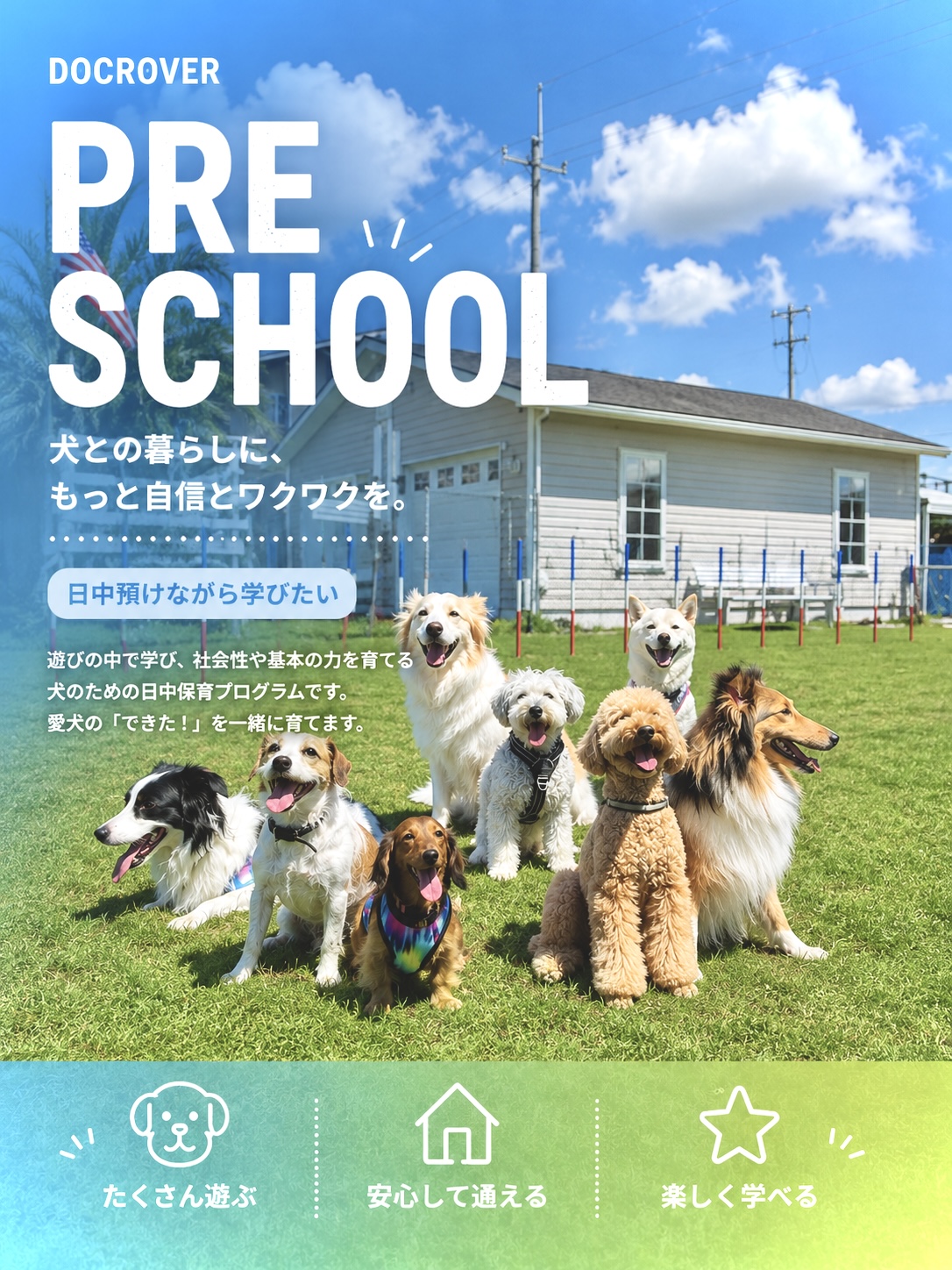 DOCROVER 犬の幼稚園