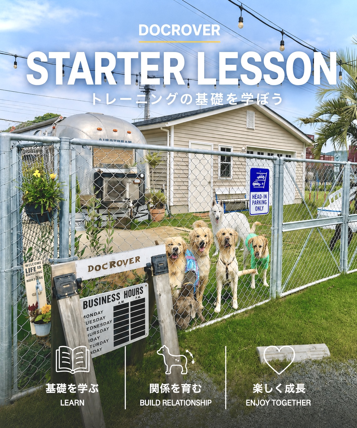 DOCROVER スターターレッスン