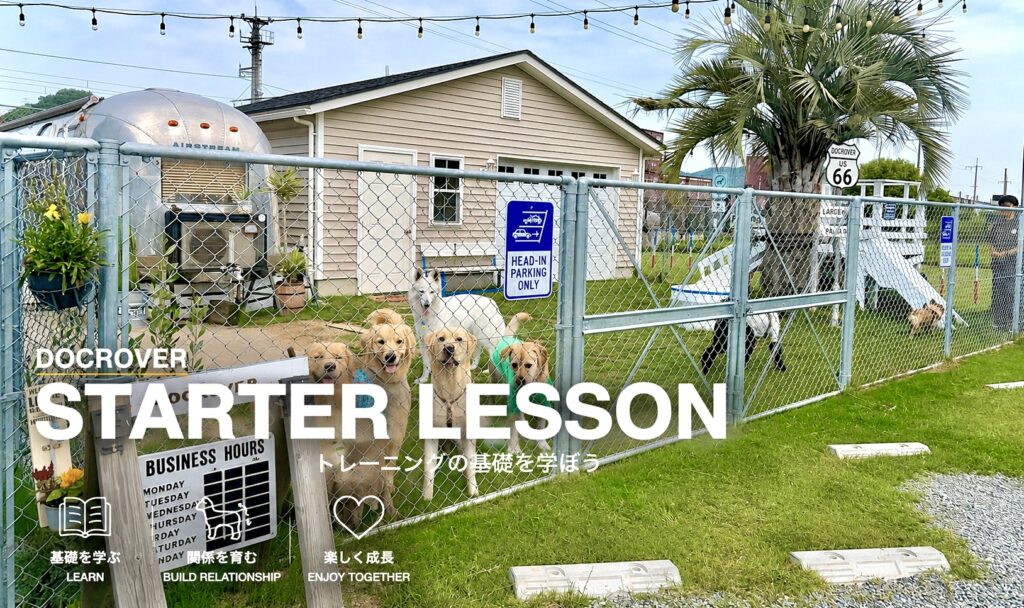 姫路の犬のしつけ教室DOCROVERのスターターレッスン