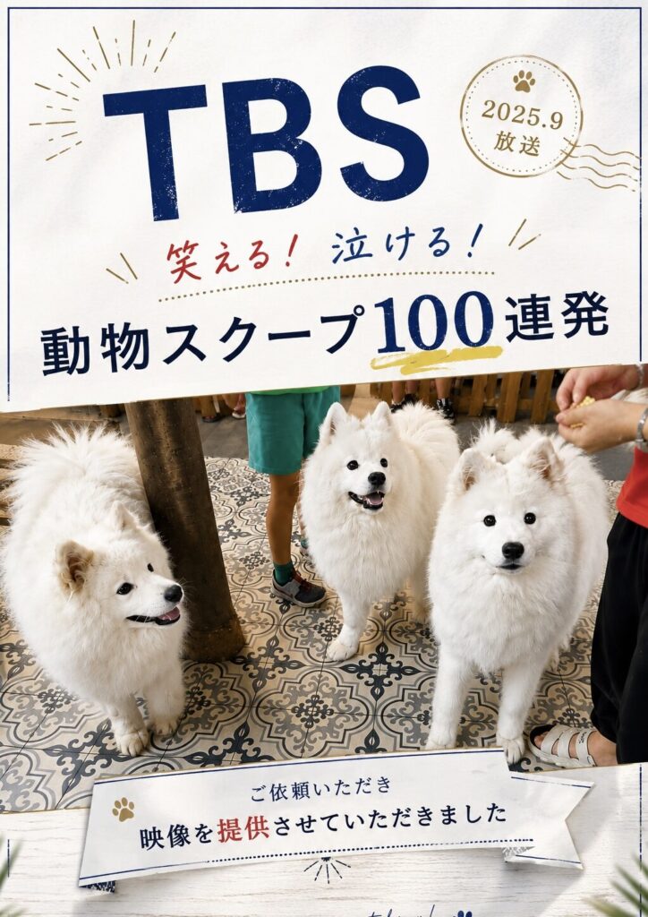 BS「笑える!泣ける!動物スクープ100連発」へDOCROVERが映像提供